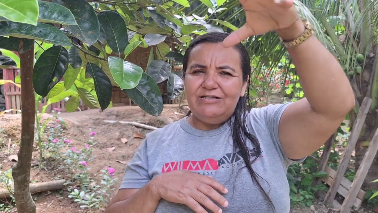 Depois de 5 anos que começamos o sítio do zero  estamos penssando em recomeçar de novo Ana Paula Al