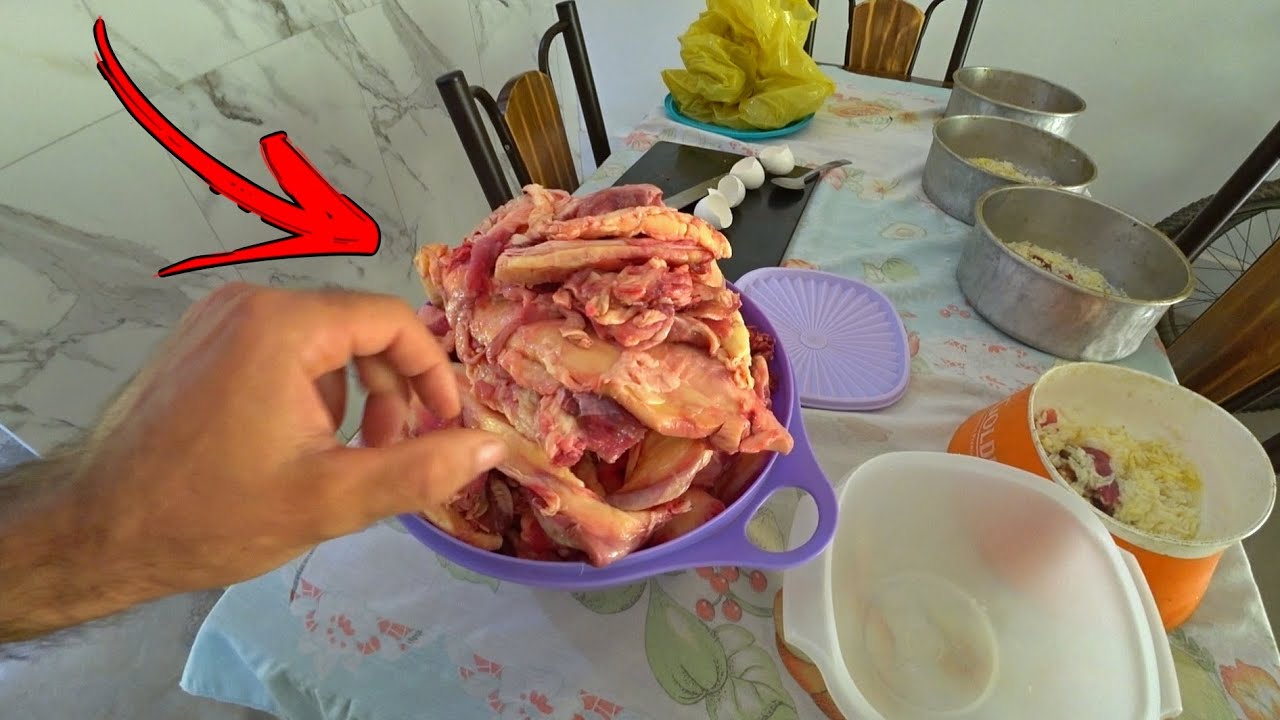 Alimentação da matilha em detalhes - Dicas importantíssimas!!