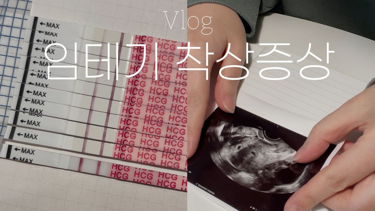 [난임일기] 3일배양 임테기, 착상 증상, 피검사 결과 :: 드는 deneun Vlog49