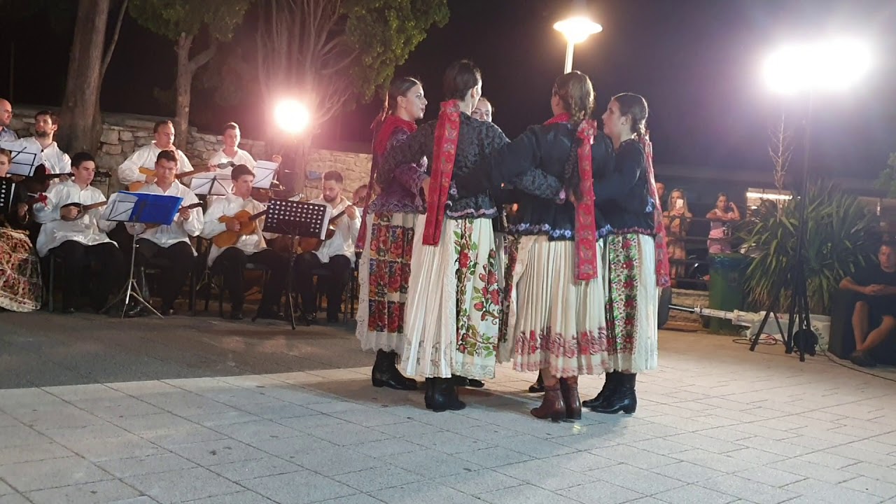 Plesovi iz Turopolja