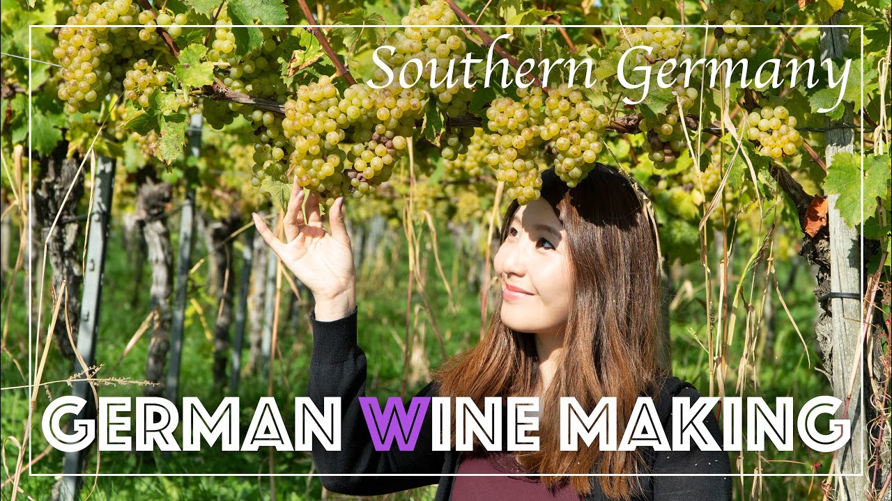 Wine from Germany - Making the best German Wine