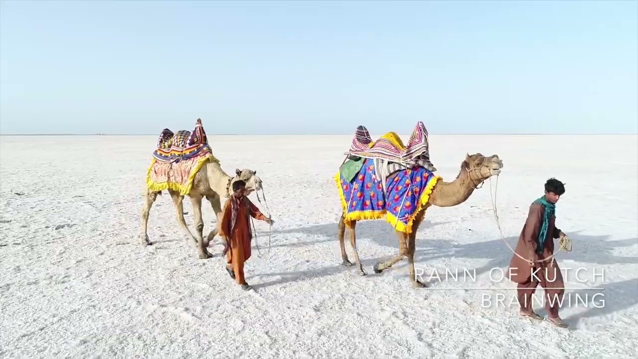 Rann of Kutch Drone Shots