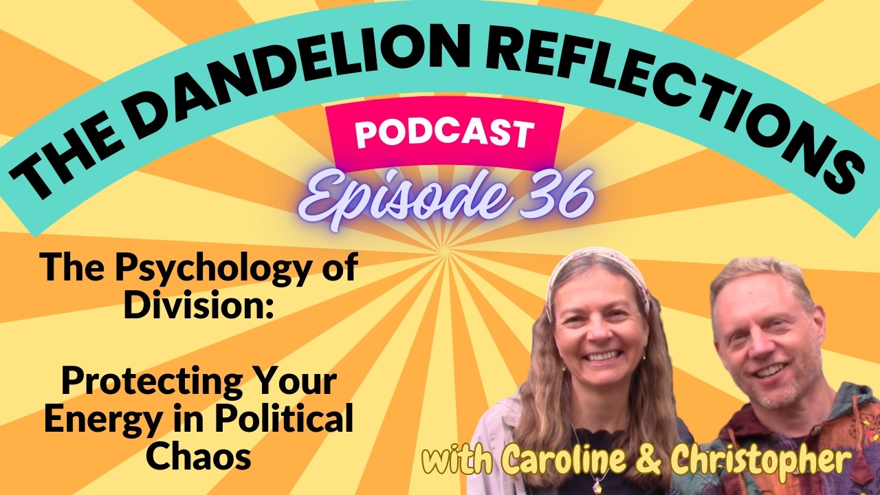 How to Stay Sane in a Divided World - The Dandelion Reflections - Episode 36