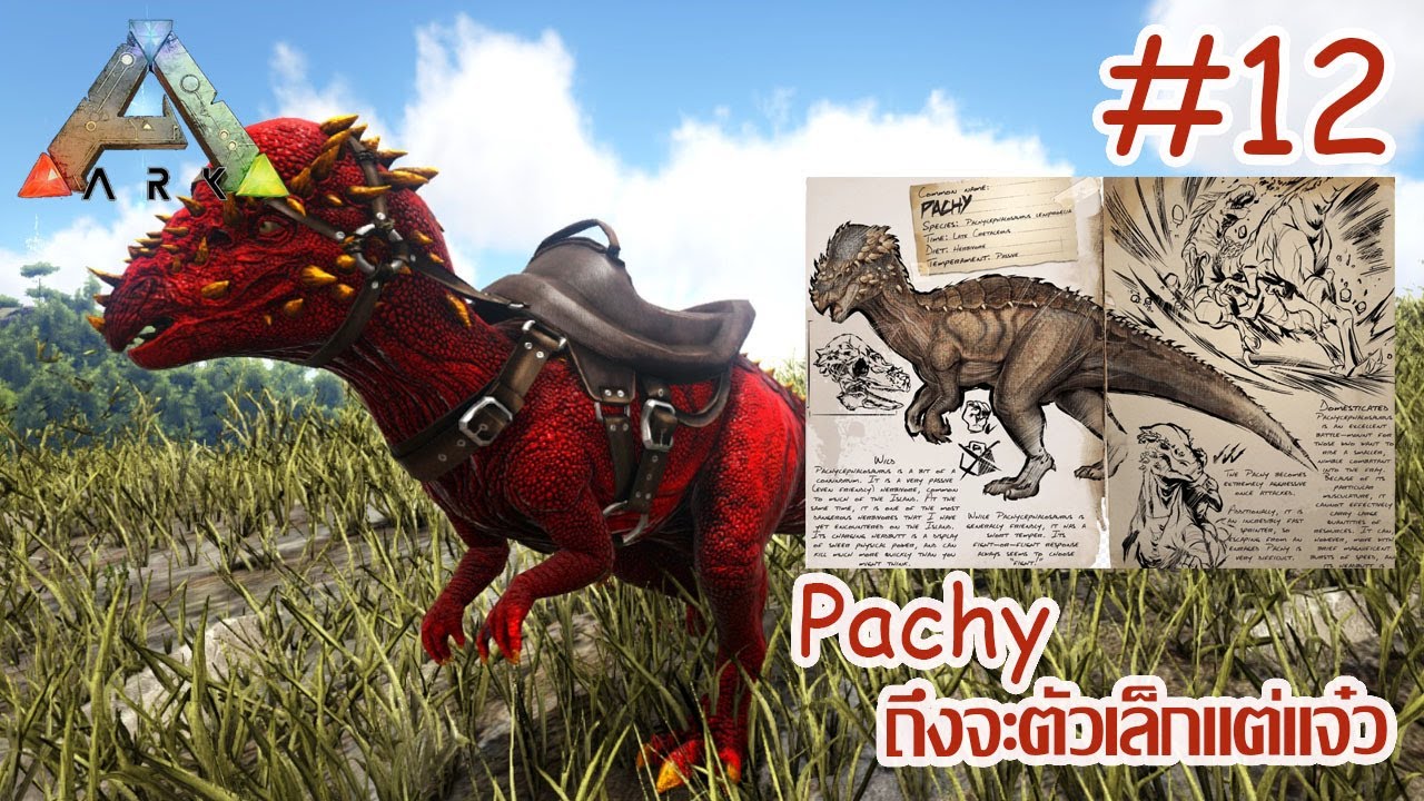 ARK จับแหลก [The series] #12 จับ Pachy ถึงจะตัวเล็กแต่แจ๋ว