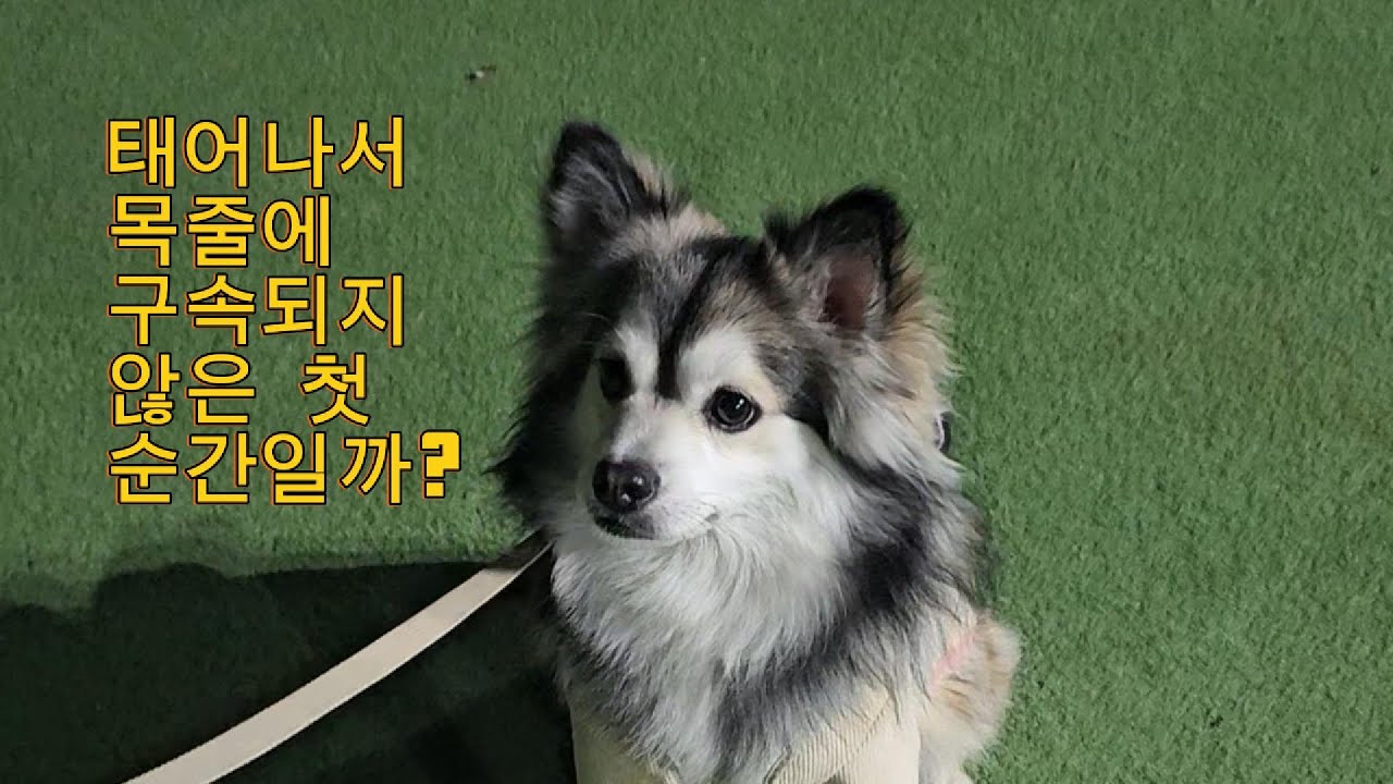 찬이의 첫 전력질주, 그 끝에 기다리는 건 사랑하는 엄마 아빠!