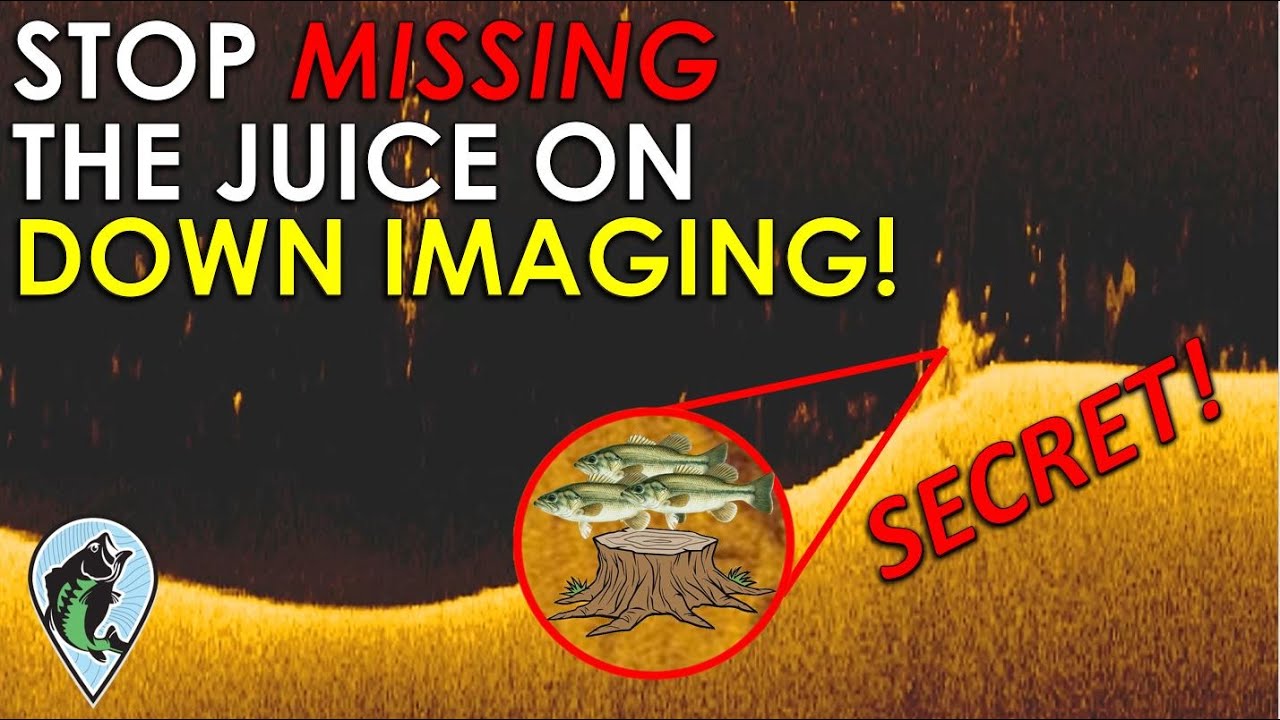 What Cover Looks Like on Down Imaging | Bass Fishing Sonar Instruction and Down Imaging Explained