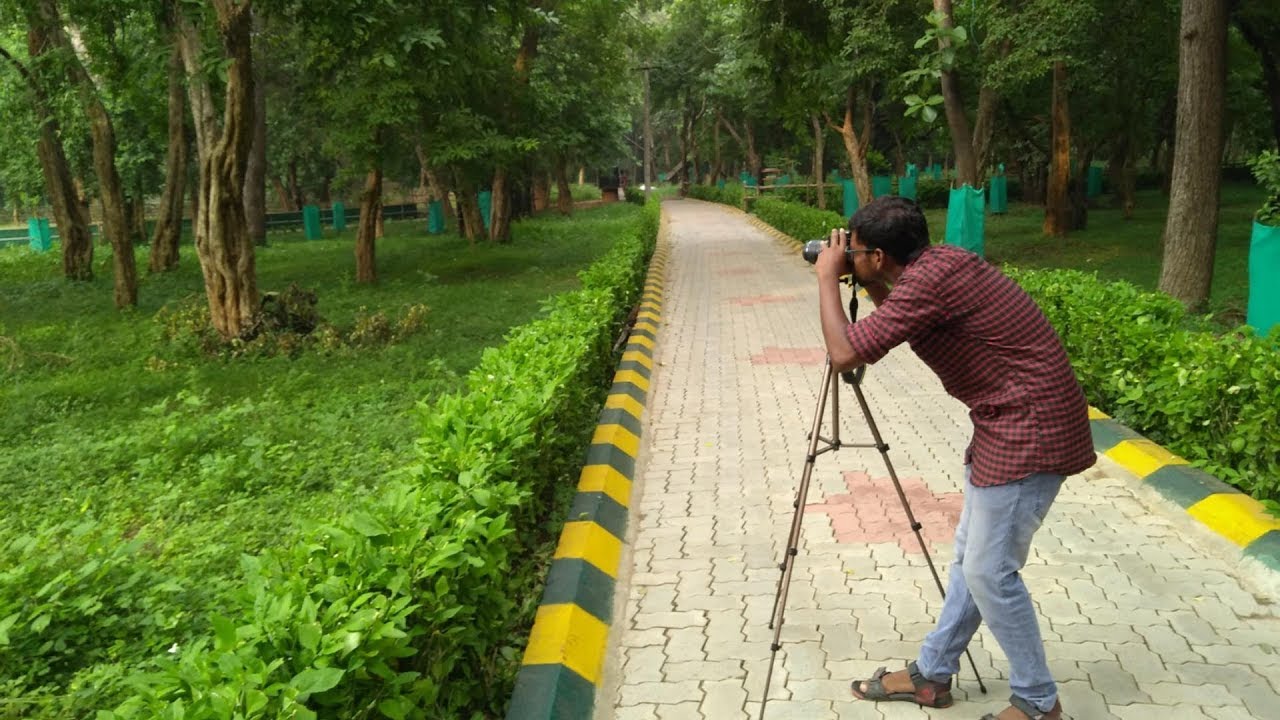 A Trip to Amirthi zoo and Waterfall best tourist spot