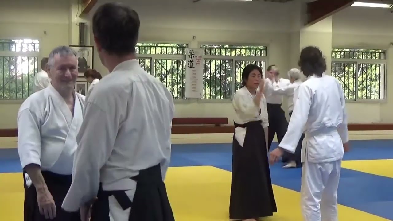 Xavier Dufau Aikido club Auch 10 2019 part 2