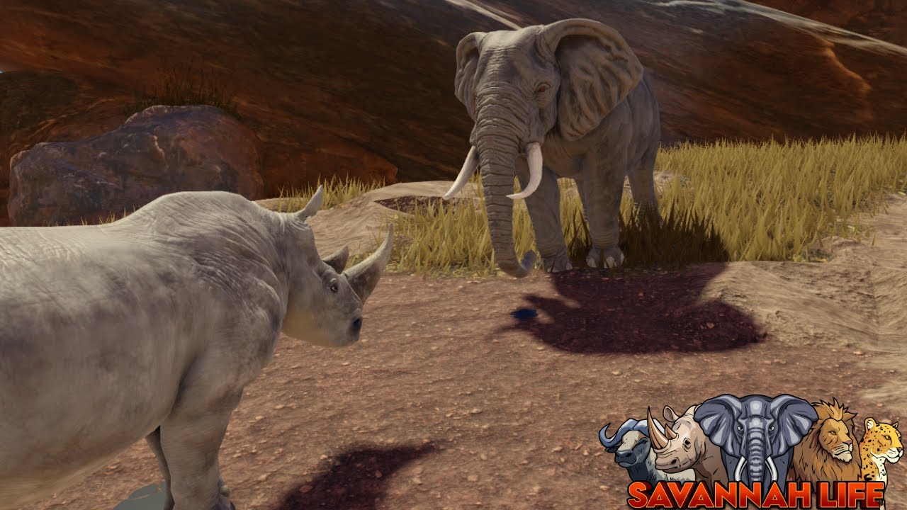 Rhino Attacks Elephant in Savannah Life! | ROBLOX Savannah Life