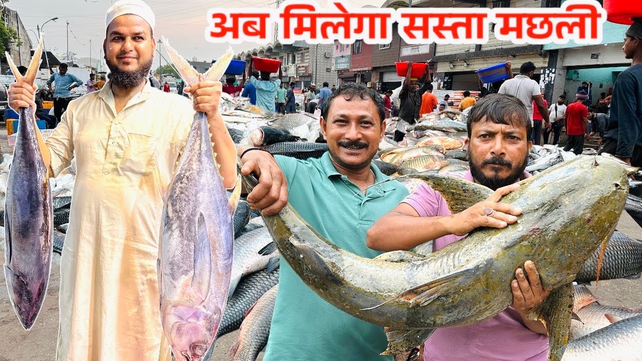Biggest Sea Fish Market In Delhi l Delhi Street Food Price|Ghazipur Fish Mandi Delhi Rates Today |