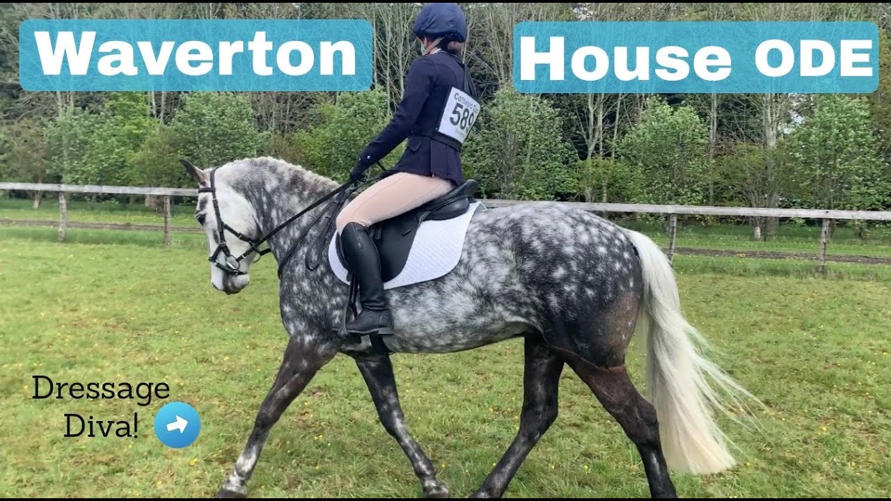 HARRY TRIES EVENTING AGAIN // Waverton House Cotswold Cup Event