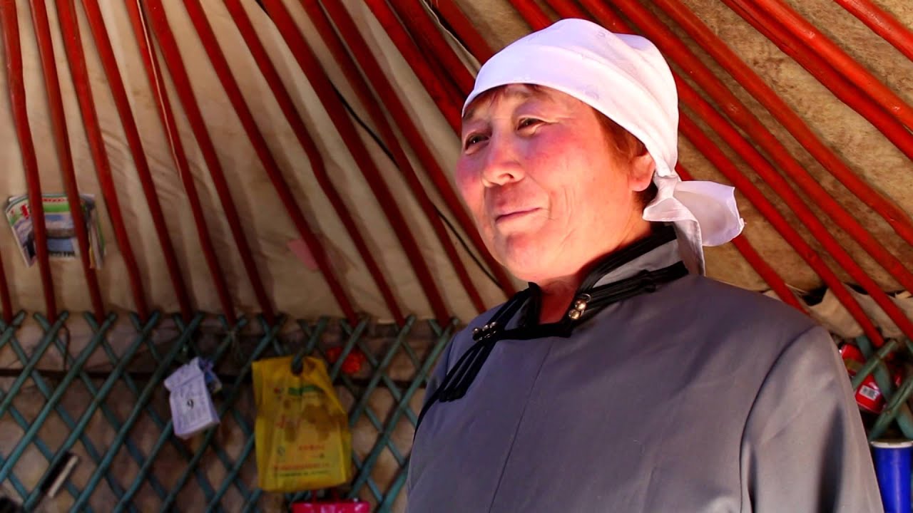 ayalaliin toirog uvurmongoliin malchin ail Delger guaind zochilson n