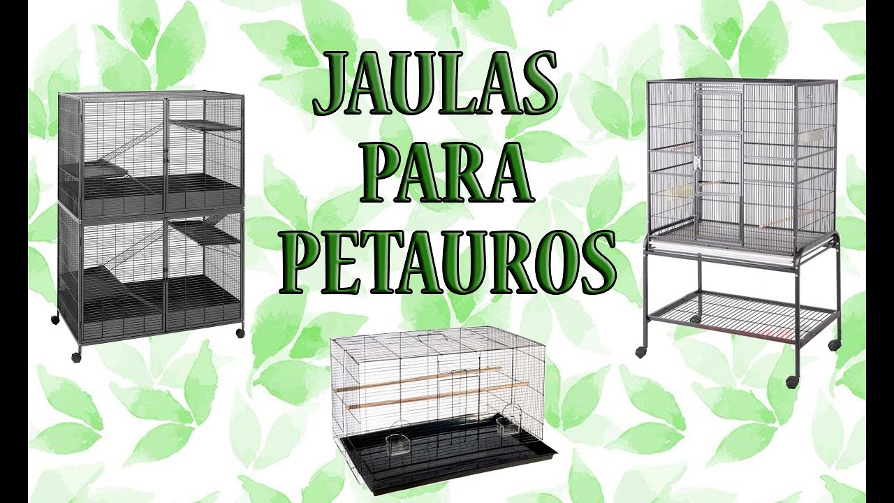 Jaulas para los petauros/sugar glider 2.0