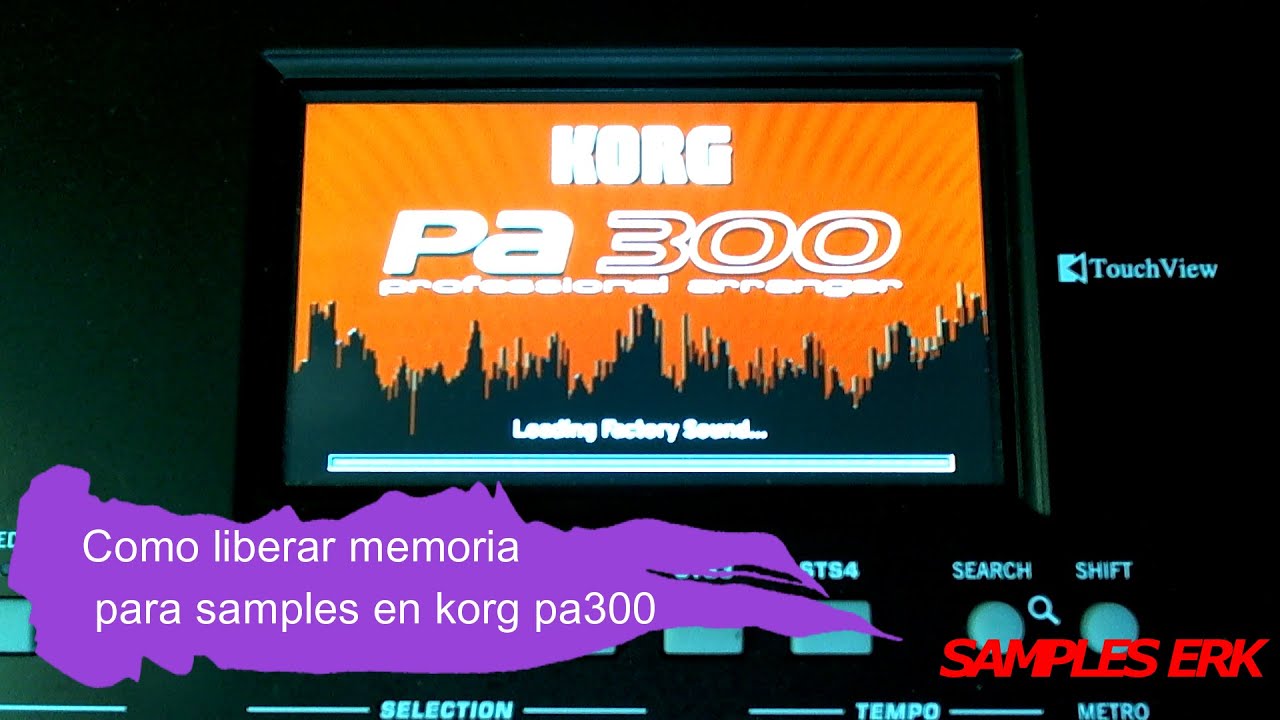 LIBERAR MEMORIA KORG PA300