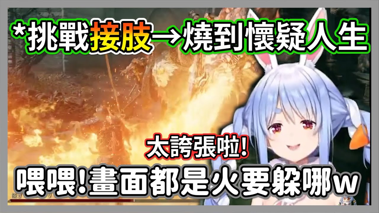 挑戰接肢被燒到懷疑人生的屑兔，滿滿的火焰畫面讓族長陷入了絕望w【兔田佩克拉】【hololive精華】