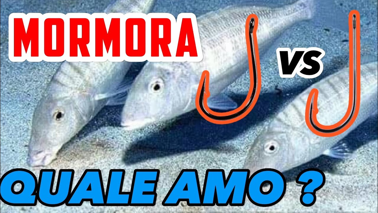 Come Scegliere l'Amo Perfetto per la Pesca alla Mormora: Guida Completa e Consigli Pratici (pt.1)