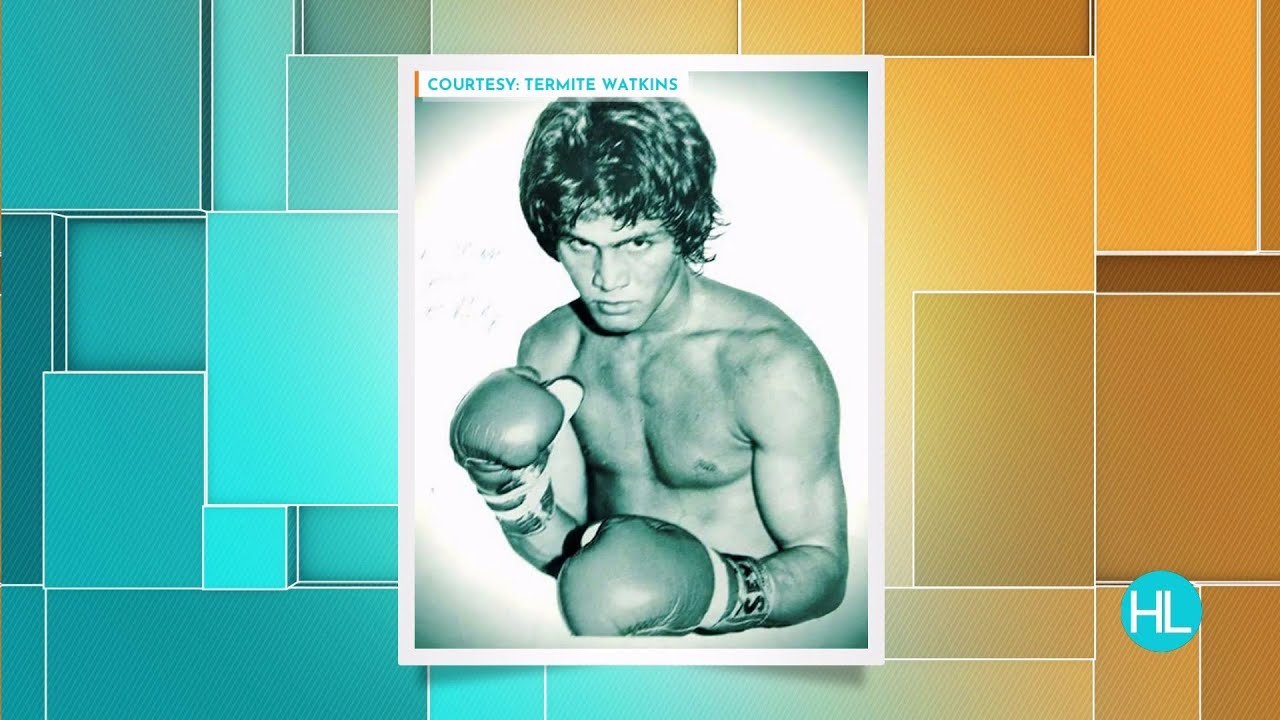 Knock out termites! Retired boxer Termite Watkin's is back in the family business