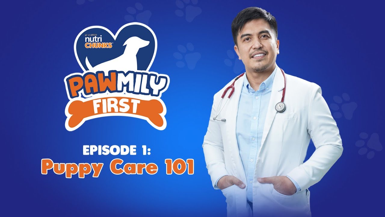Pawmily First with Dr. Ferdinand Recio Episode 1: Puppy Care 101