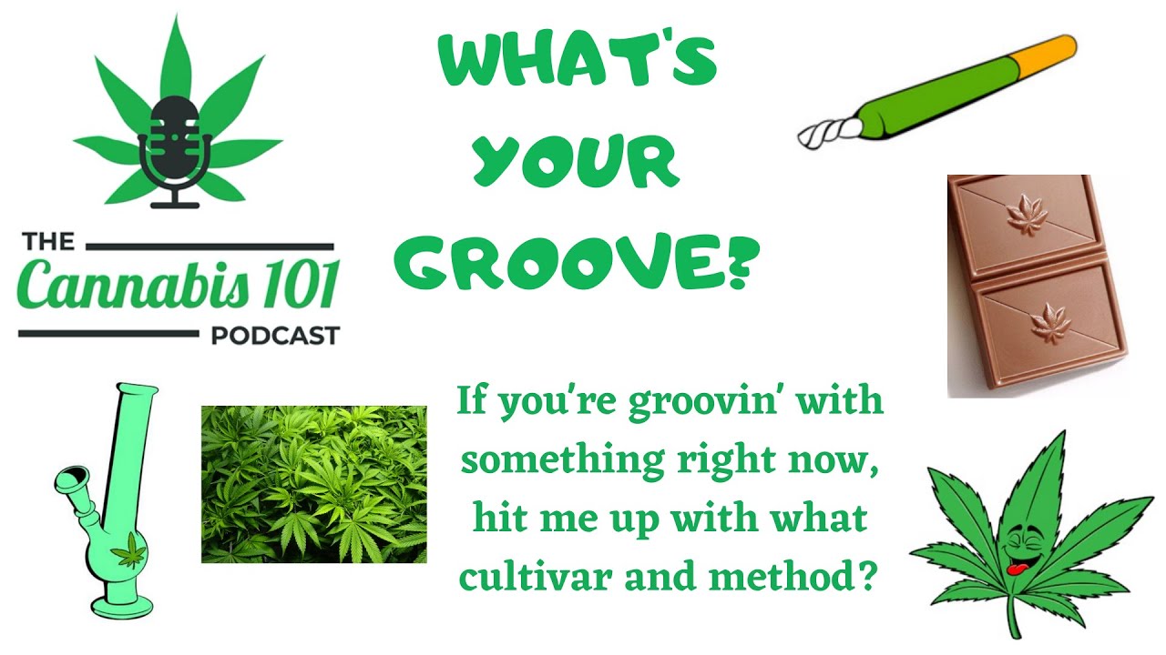 Cannabis 101 Podcast - Episode 91 hour two - Tyler Rumi, CEO Good Buds chats on 420