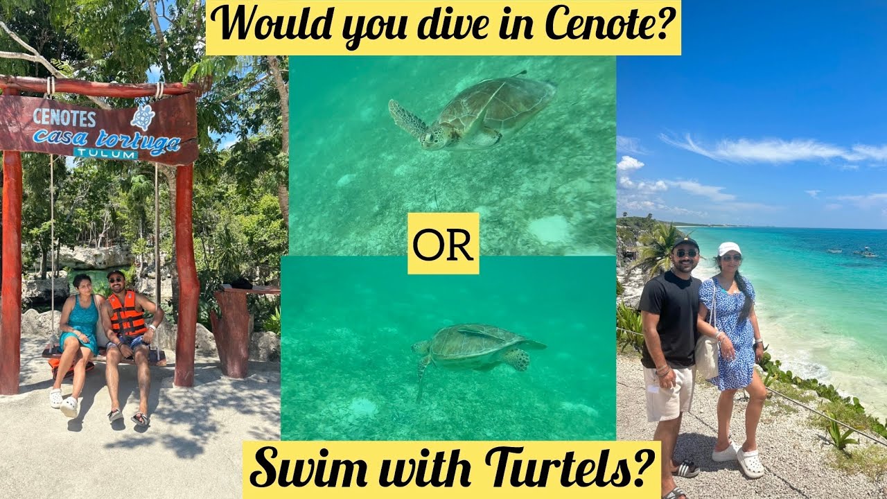 Swimming with Turtles| Tulum Mexico| Best Cenotes in Tulum| Adventures in Mexico|Ep5 4K 2024