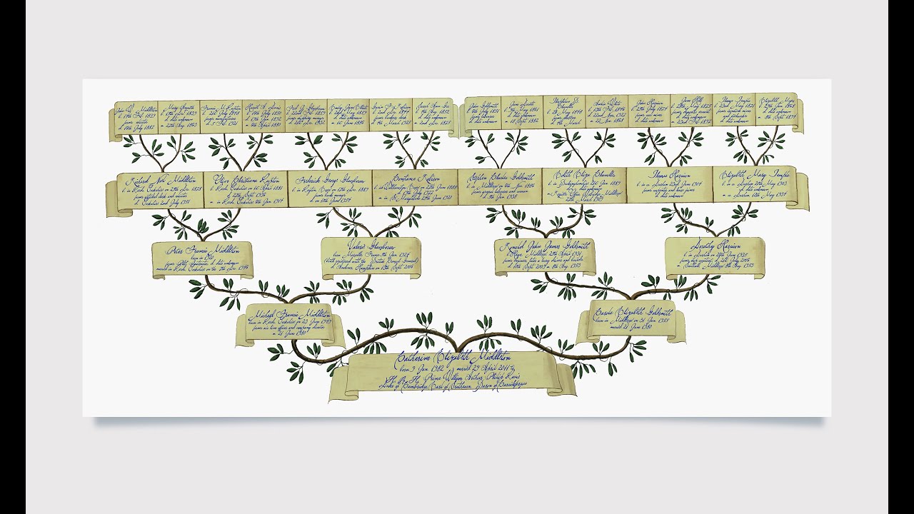genealogy explained