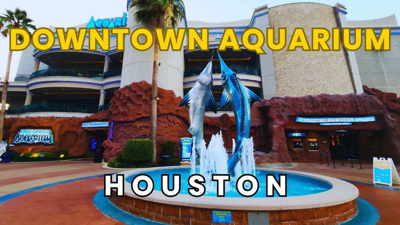Downtown Aquarium Houston Texas Full Tour