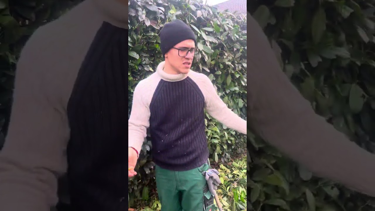 Uitativa pina la urma sa nu trageti rusina ca mine. VIDEO Educativ