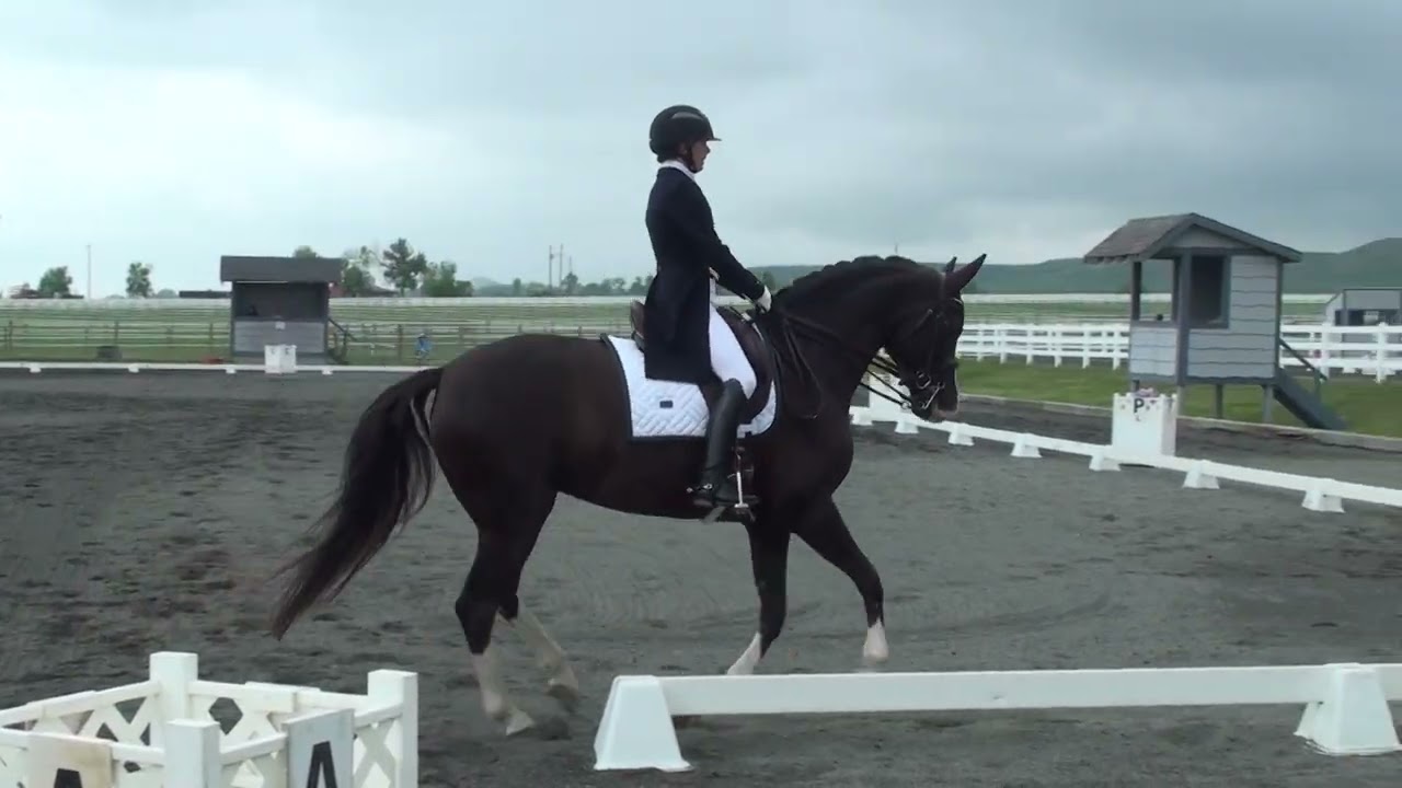 Annie Morris Dressage Performance Saturday Nighthawk 5 24 25
