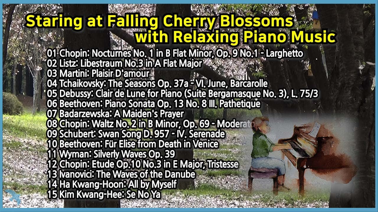 [꽃비멍] Staring at Falling Cherry Blossoms  with Relaxing Piano Music