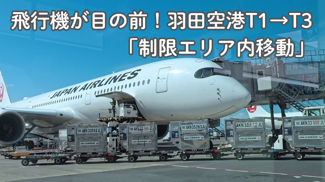 【羽田空港】一般立入禁止！制限エリア内を走る「乗り継ぎバス」の車窓…飛行機が近すぎ！T1→T3ノーカット