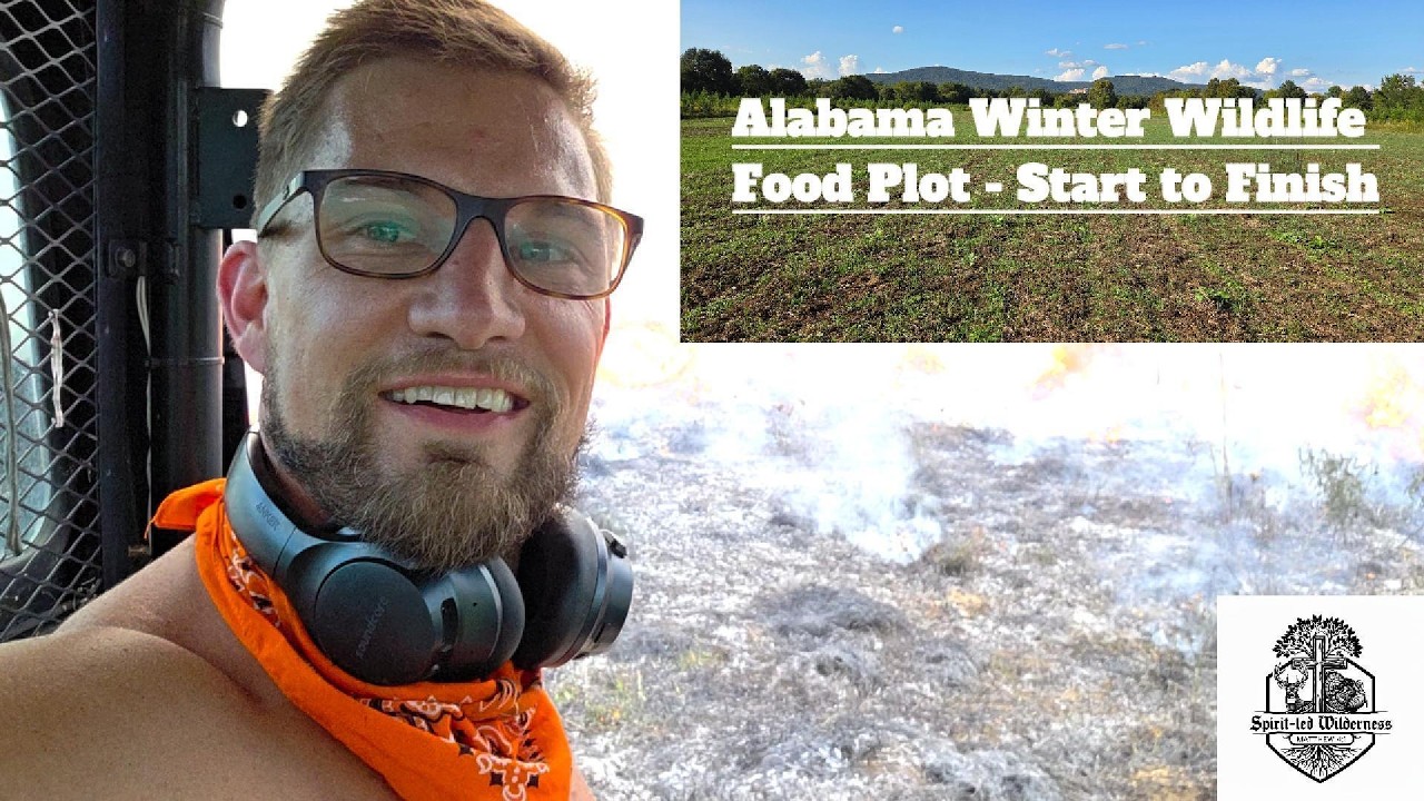 Alabama Wildlife Food Plot Planting - Start to Finish 2025