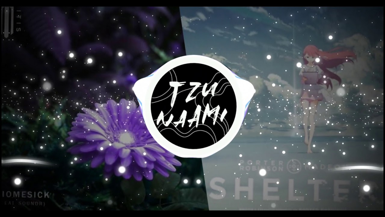 Mitis x Porter Robinson x Madeon - Homesick x Shelter [TZUNAAMI MASHUP]