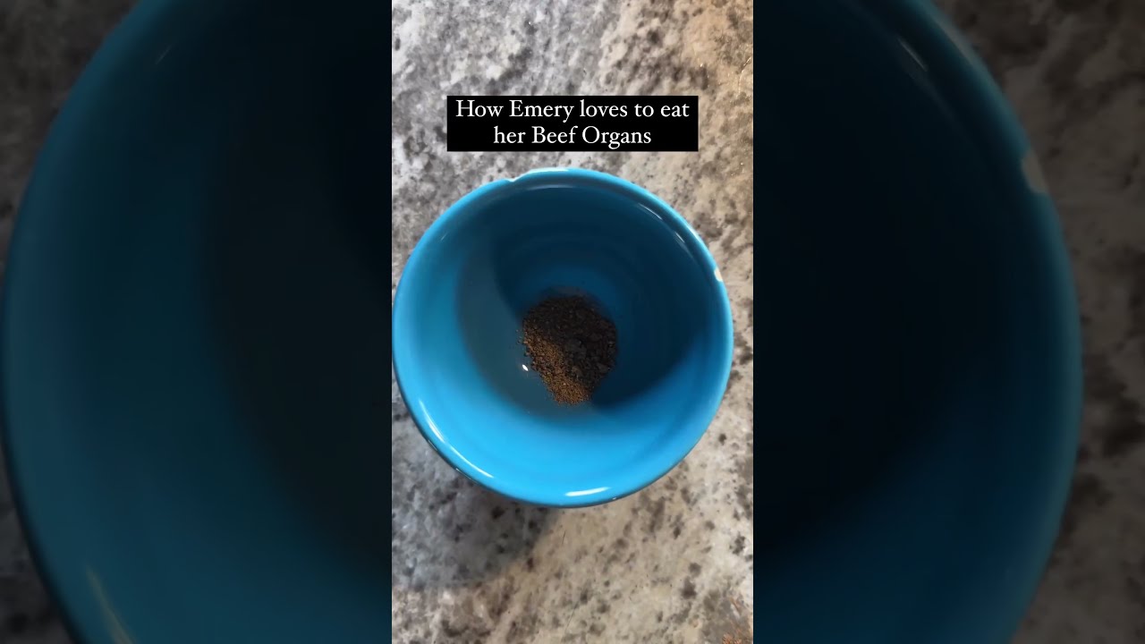 How Emery eats her Beef Organs #nosetotail
