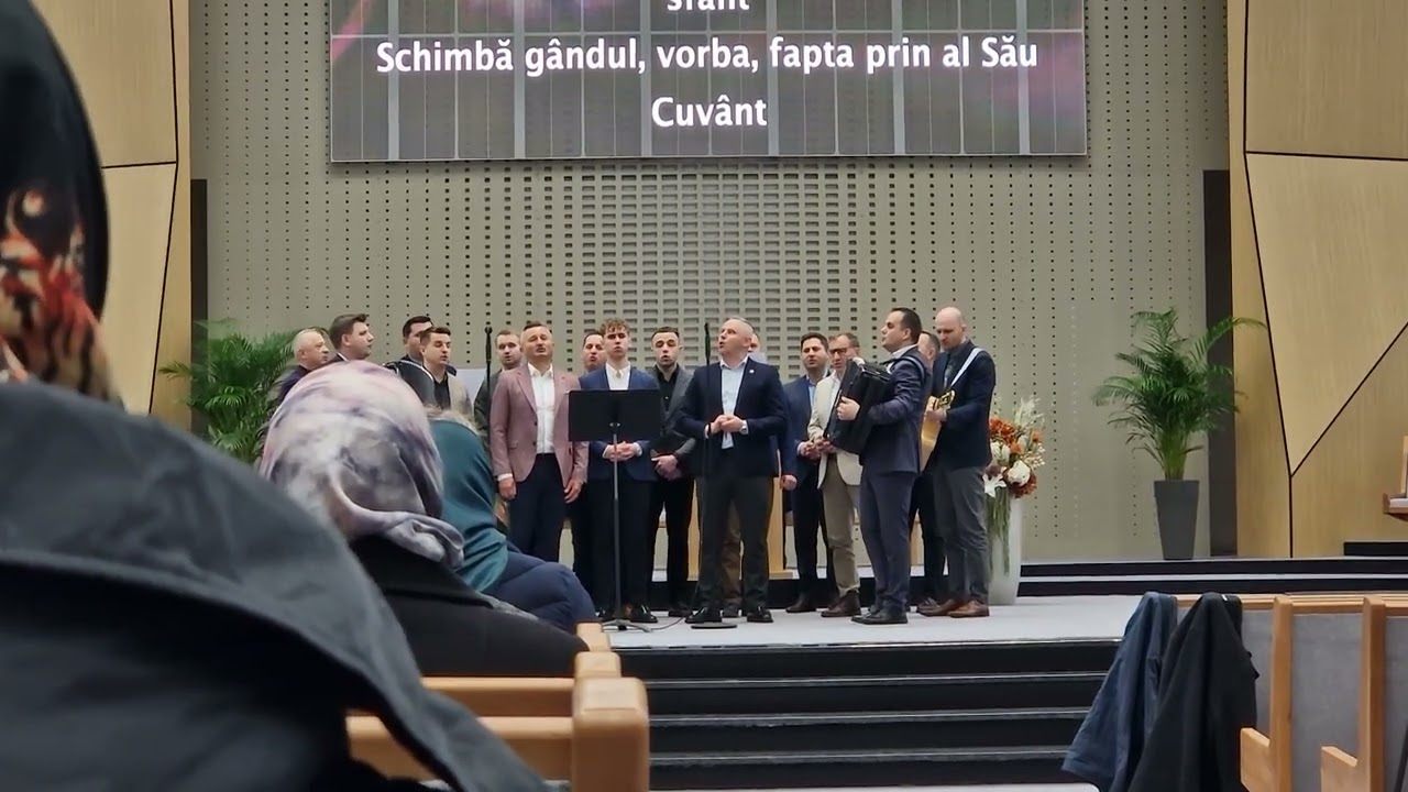 O mică victorie care merită ascultată ‼️