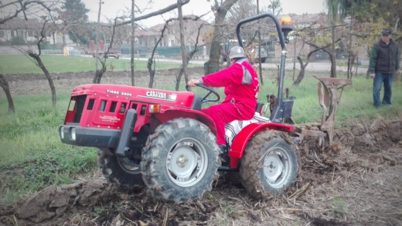 Festa del Ringraziamento 2018, Pomponesco (MN)