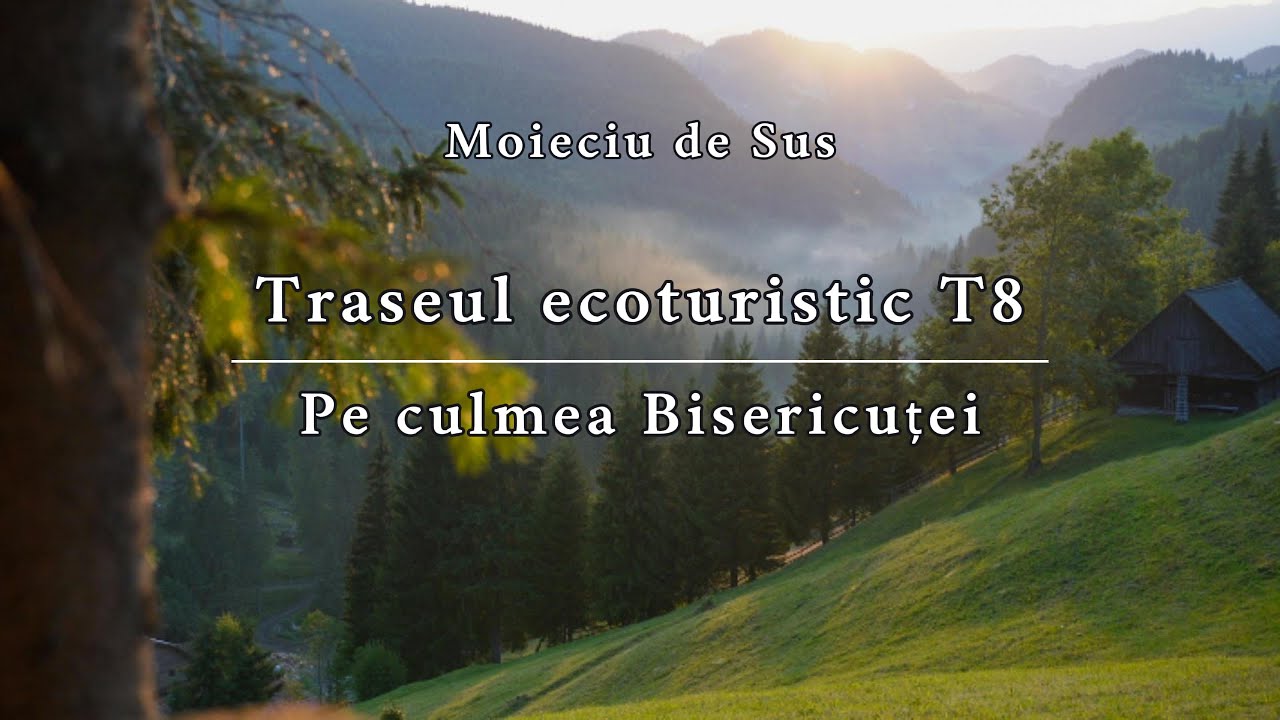 Drumeție Moieciu de Sus | Pe culmea Bisericutei | Exploring Moieciu de Sus - Romania | ASMR Hiking