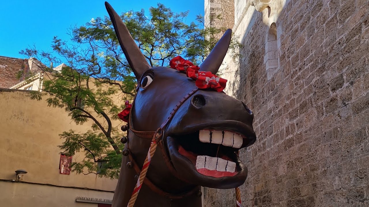La Mulassa de Valls