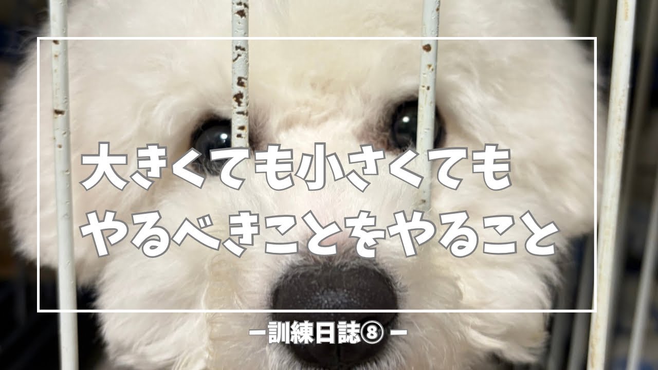 大きくても小さくてもやるべきことをやることー訓練日誌⑧-