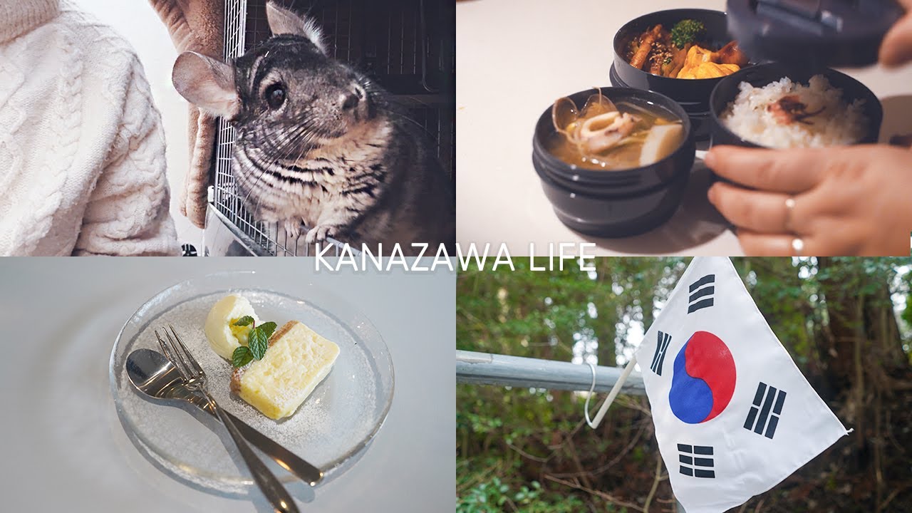 【가나자와vlog】🌸 벚꽃핀 보온도시락,이시카와 한인 살X사건 현장에서 묵념, 가나자와 골목걷기💨🌬️ 윤봉길선생 암장지 다녀온, 친칠라🐭가있는 생활