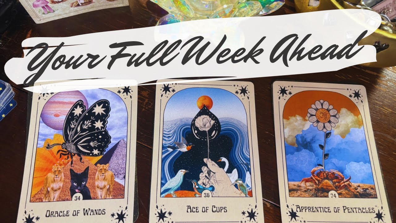 your detailed week ahead 🔮 pick a card weekly reading