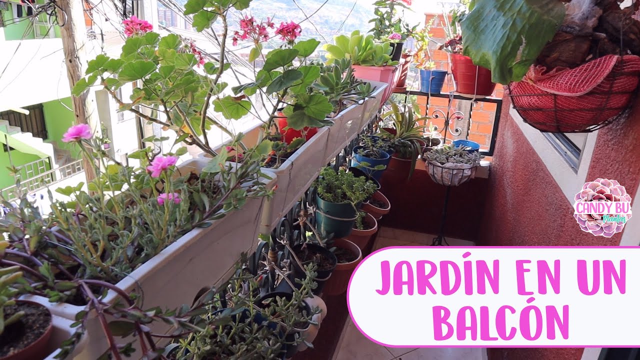 El jardín de mi mamá ACTUALIZADO│Candy Bu