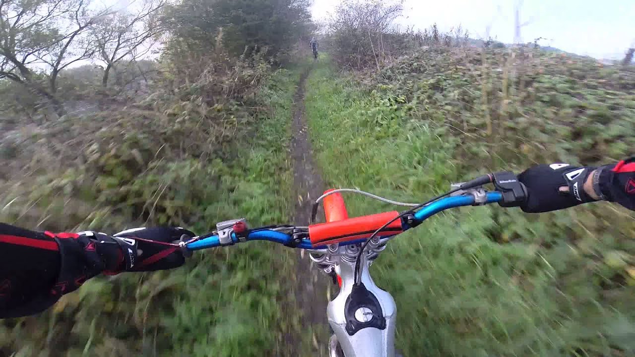Beta rev 3 250 trials cheshire