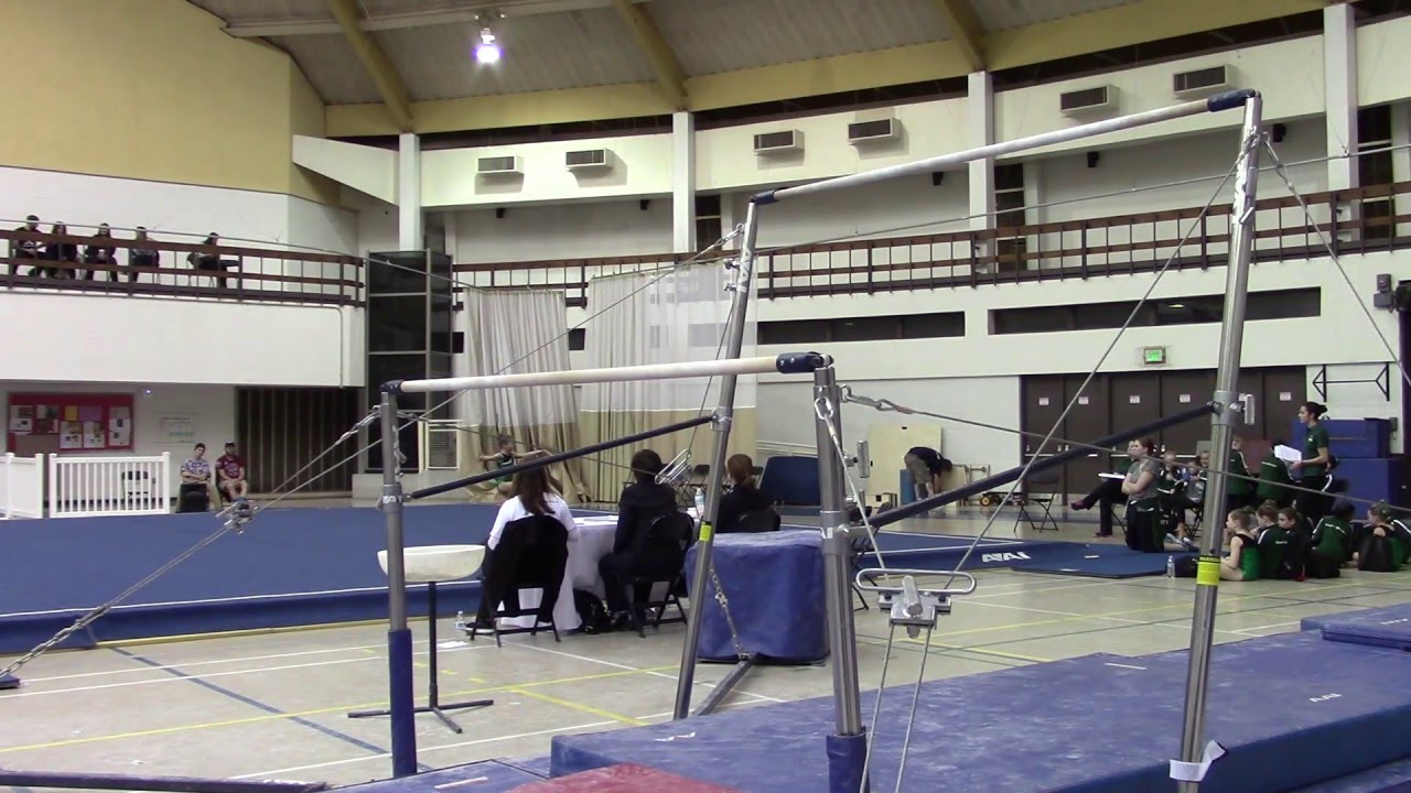 Level 2 Gymnastics - Bar 2: BCG Valentine Invitational - Session 8
