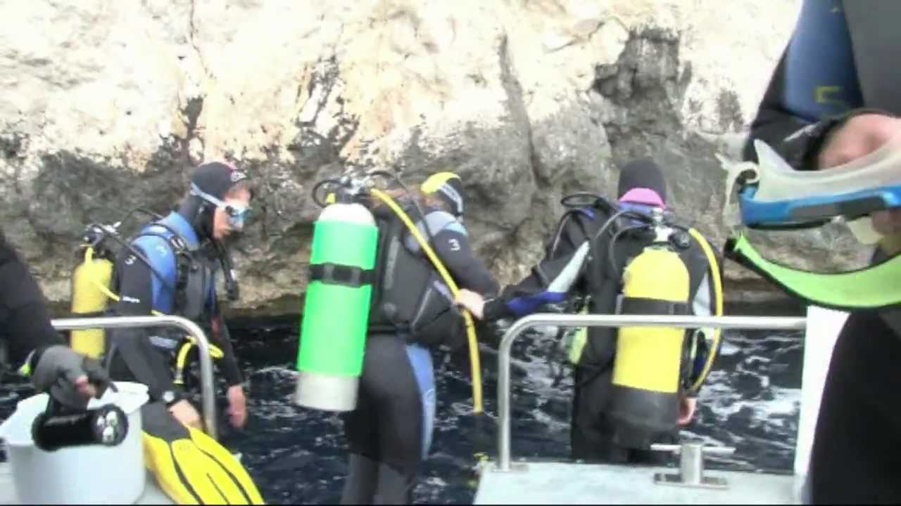 Scuba Intro by Michèle