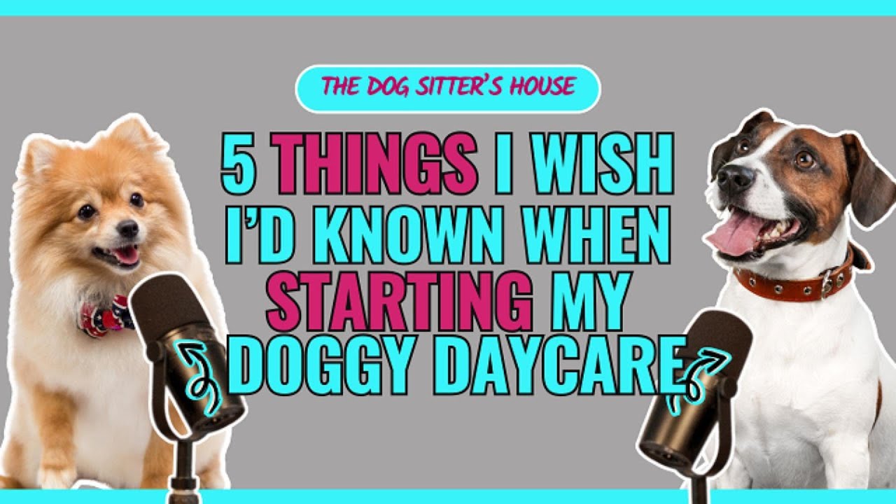 EPISODE 50: 5 THINGS I WISH I'D KNOWN WHEN STARTING MY DOGGY DAYCARE & BOARDING AT HOME
