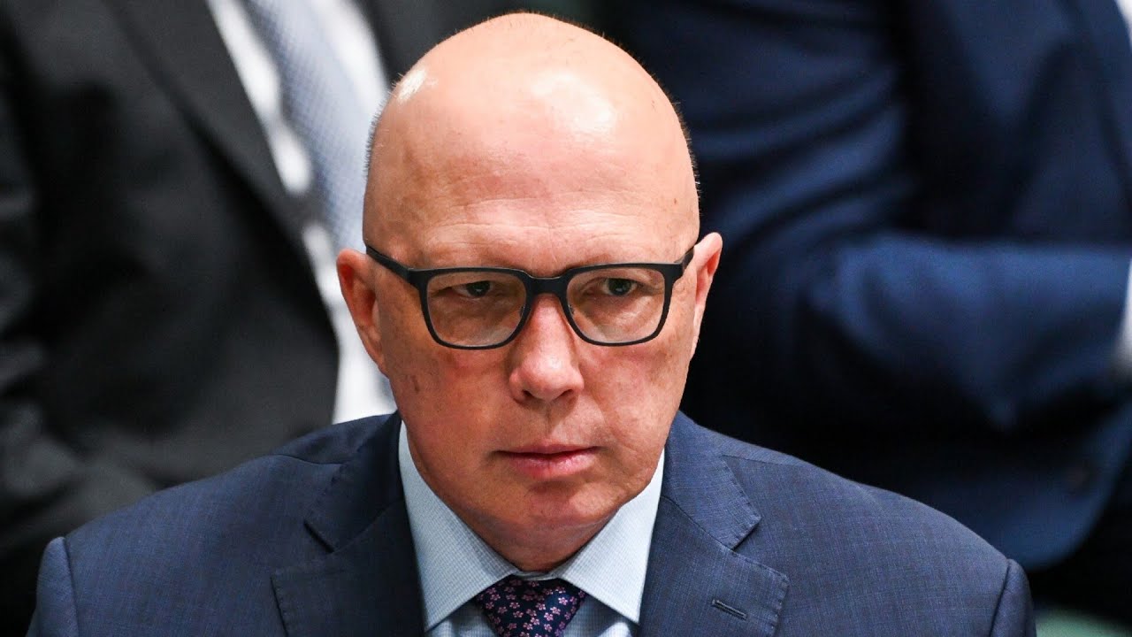 &lsquo;Deeply unpopular&rsquo;: Voters had &lsquo;major hesitation&rsquo; with Peter Dutton