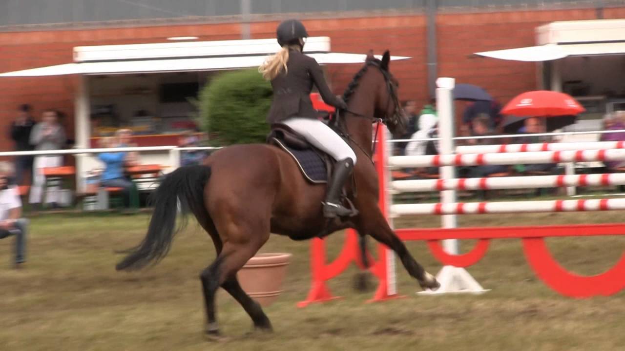 Auf jetzt und ewig ♥