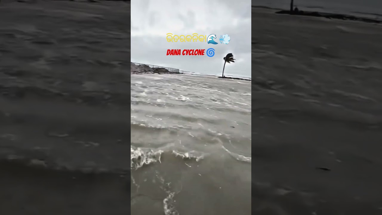 Dana cyclone in bhitarakanika🌊💨in kendrapara odisha super cyclone 2024 #cyclone #danacyclone #odisha