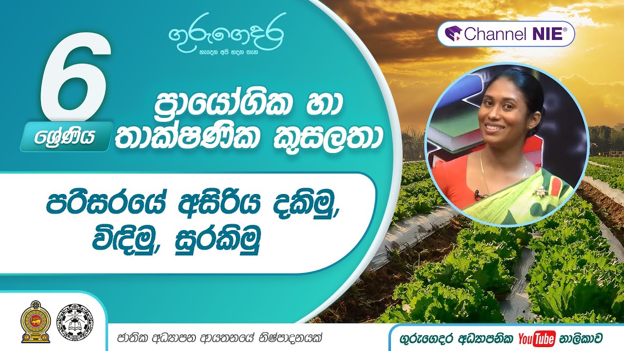 පරිසරයේ අසිරිය දකිමු, විඳිමු, සුරකිමු - 6 ශ්‍රේණිය (ප්‍රායෝගික තාක්ෂණික කුසලතා)