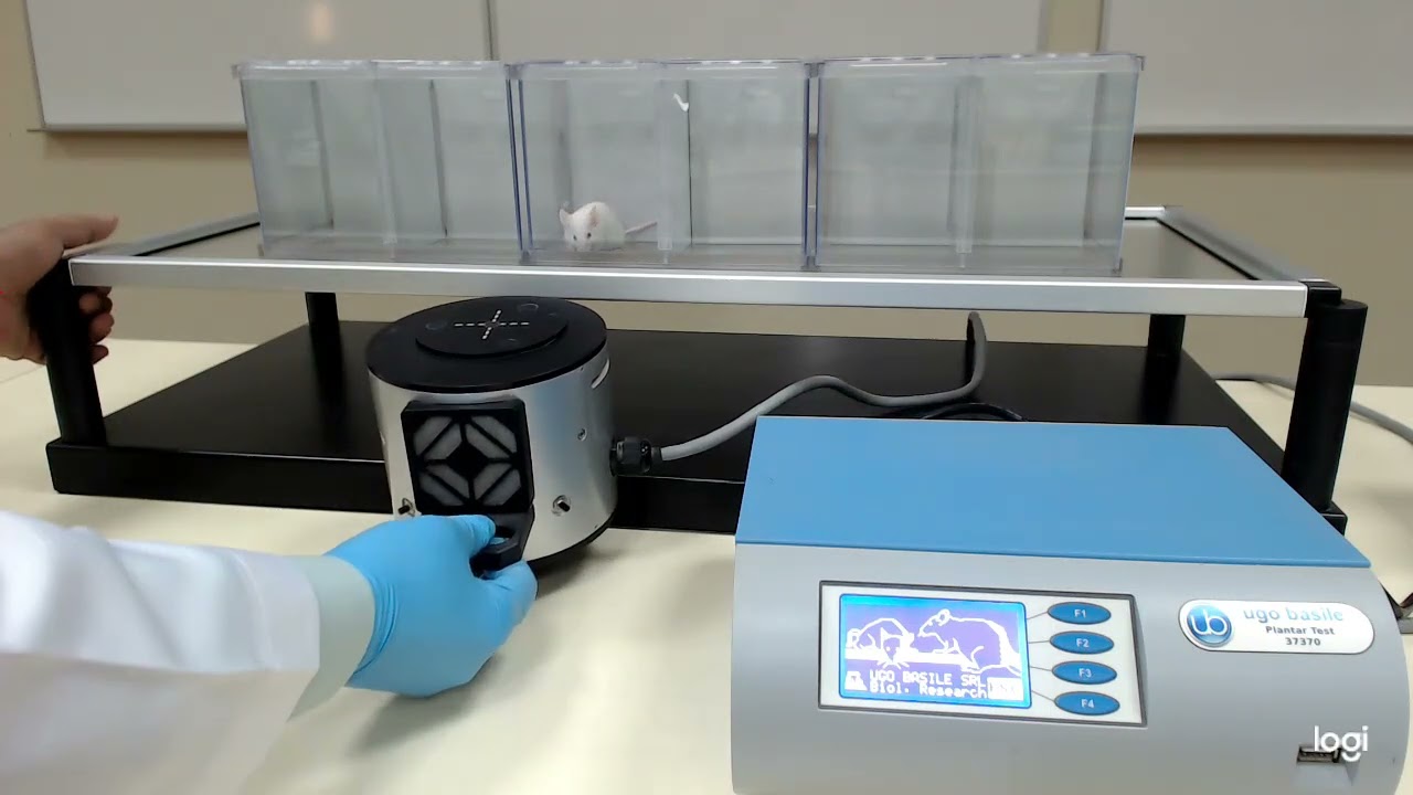 Plantar Test Apparatus Demonstration